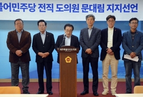 더불어민주당 제주도의회 전 의장·전 의원 11인 "문대림 지지"