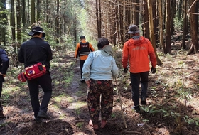 "고사리 꺾다 길 잃고 뱀에 물리고" ... 제주, '들판 실종자 찾기' 비상!