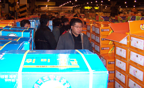 서울 가락동 농산물시장 감귤 경매 현장 ⓒ제이누리포토