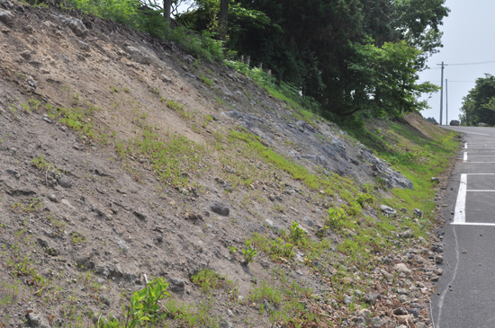 절개지 정비도 되지 않은 상태다.