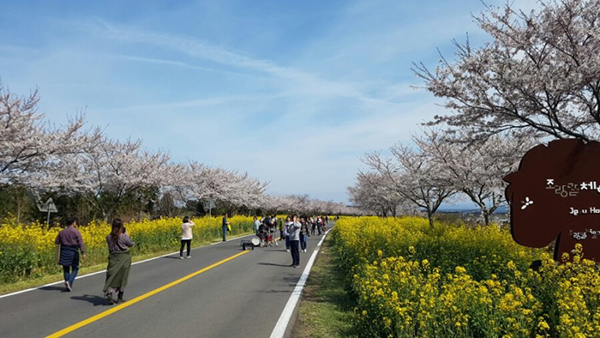 4월초의 녹산로