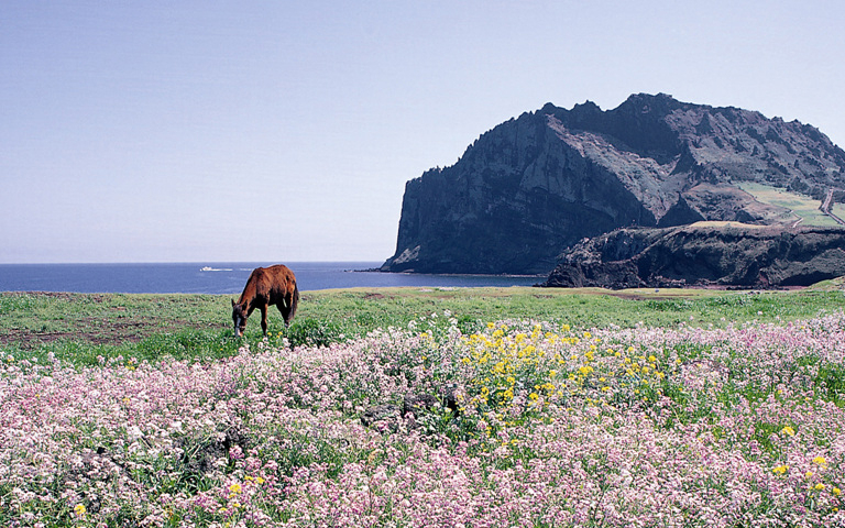 성산일출봉 [제주도 제공]